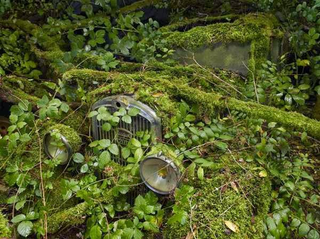 Illustration for article titled The nightmare continues: Abandoned cars part 3